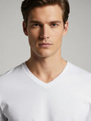 Regular Fit T-Shirt, Long Sleeve, V-Neck